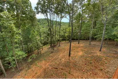 394 Blackberry Circle, Ellijay, GA 30536 - Photo 65