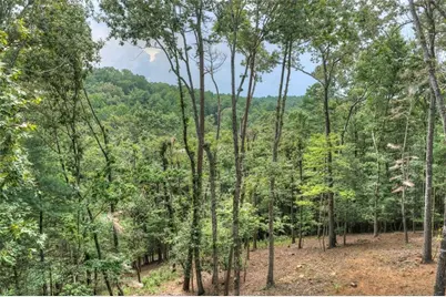 394 Blackberry Circle, Ellijay, GA 30536 - Photo 41