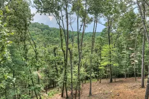 394 Blackberry Cir, Ellijay, GA 30536 - Photo 41