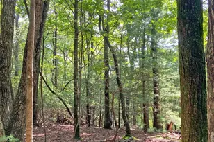 11Ac T S Jarrard Rd, Dahlonega, GA 30533 - Photo 1