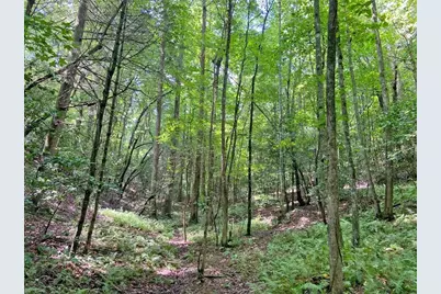 11Ac T S Jarrard Road, Dahlonega, GA 30533 - Photo 13