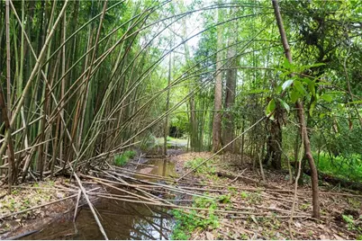 0 Roosevelt Hwy - 20.58 Acres, Warm Springs, GA 31830 - Photo 5