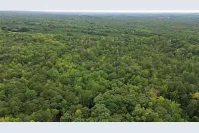 0 Roosevelt Hwy - 20.58 Acres, Warm Springs, GA 31830 - Photo 3