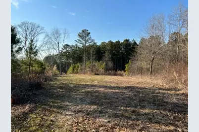 0 Luke Edwards Road, Dacula, GA 30019 - Photo 5
