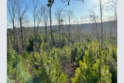 0 Luke Edwards Road, Dacula, GA 30019 - Photo 3