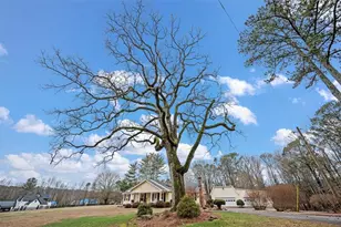 14605 Cogburn Rd, Alpharetta, GA 30004 - Photo 3