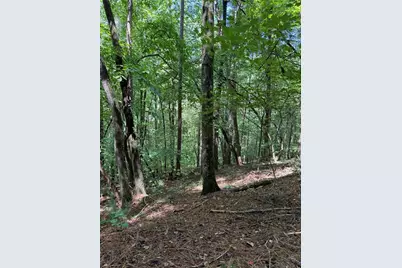 1707 Rebekah Ridge Road, Talking Rock, GA 30175 - Photo 7
