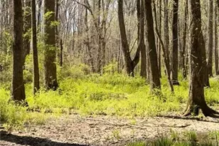 [Address not provided], Monroe, GA 30656 - Photo 1