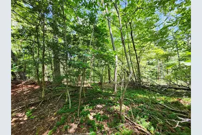 0 Deer Run Drive, Dahlonega, GA 30533 - Photo 13