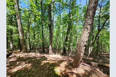 0 Deer Run Drive, Dahlonega, GA 30533 - Photo 19