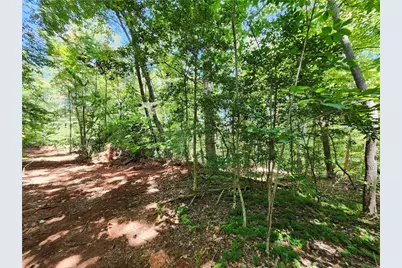 0 Deer Run Drive, Dahlonega, GA 30533 - Photo 9