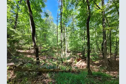 0 Deer Run Drive, Dahlonega, GA 30533 - Photo 21