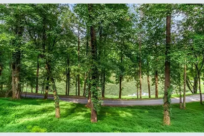 165 Timberwalk Drive, Ellijay, GA 30540 - Photo 3