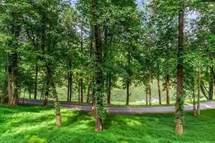 165 Timberwalk Dr, Ellijay, GA 30540 - Photo 3