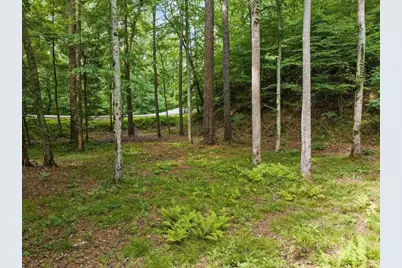 434 Lemmon Drive, Ellijay, GA 30540 - Photo 11