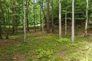 434 Lemmon Dr, Ellijay, GA 30540 - Photo 11