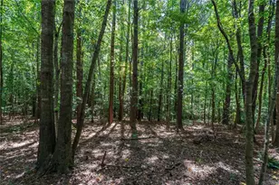 212 Overlook Wy, Carrollton, GA 30117 - Photo 47