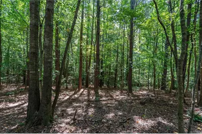 212 Overlook Way, Carrollton, GA 30117 - Photo 47