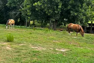 7643 Hwy 145, Carnesville, GA 30521 - Photo 61