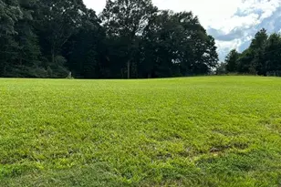 7643 Hwy 145, Carnesville, GA 30521 - Photo 51