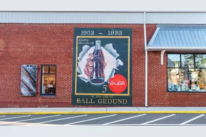 115 Tanya Way, Ball Ground, GA 30107 - Photo 19