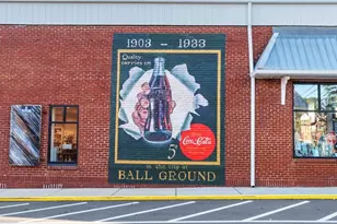 115 Tanya Wy, Ball Ground, GA 30107 - Photo 19