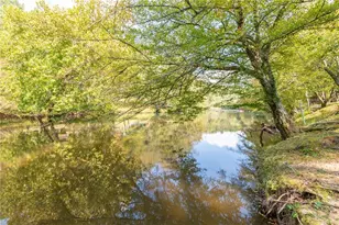 314 Catawba Cir, Ellijay, GA 30540 - Photo 57