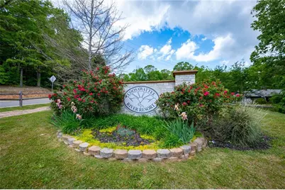 314 Catawba Circle, Ellijay, GA 30540 - Photo 45