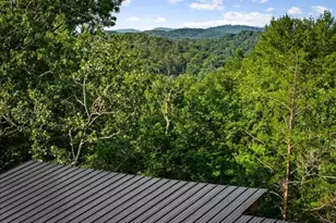 65 Wolf Crk Hts, Mineral Bluff, GA 30559 - Photo 3