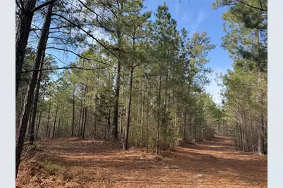 0 Hulmes Chapel Road, Elberton, GA 30635 - Photo 11