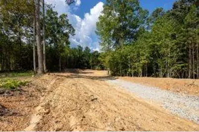 7704 Georgia Highway 100, Buchanan, GA 30113 - Photo 59