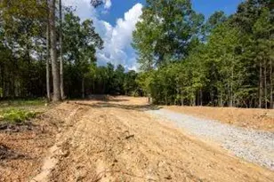 7704 Georgia Hwy 100, Buchanan, GA 30113 - Photo 59