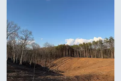 260 Arnold Road, Fairmount, GA 30139 - Photo 33