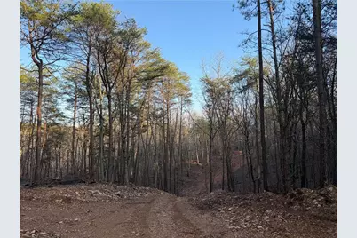 260 Arnold Road, Fairmount, GA 30139 - Photo 7