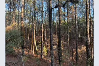 260 Arnold Road, Fairmount, GA 30139 - Photo 23