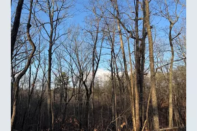 260 Arnold Road, Fairmount, GA 30139 - Photo 31