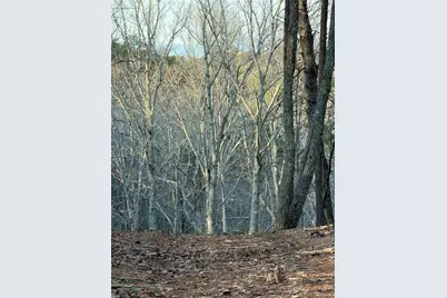 260 Arnold Road, Fairmount, GA 30139 - Photo 51