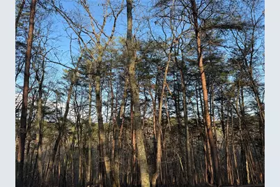 260 Arnold Road, Fairmount, GA 30139 - Photo 25