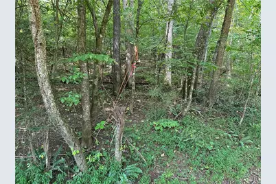 5, 10 Riverview Dr and Pine Trail, Dahlonega, GA 30533 - Photo 11