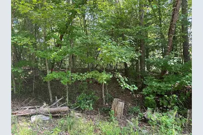5, 10 Riverview Dr and Pine Trail, Dahlonega, GA 30533 - Photo 7