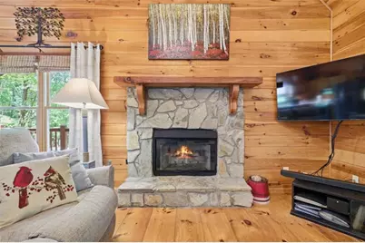 105 Blackberry Falls Court, Ellijay, GA 30536 - Photo 13