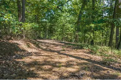 694-95 Railey Ridge, Ranger, GA 30734 - Photo 9