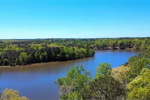 306 Chanda Cove, McDonough, GA 30253 - Photo 3