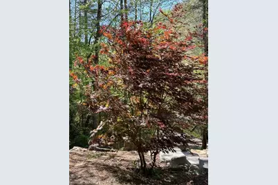 46 Private Drive, Ellijay, GA 30536 - Photo 45