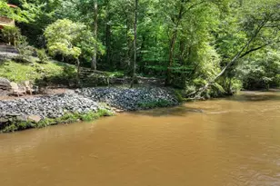46 Private Dr, Ellijay, GA 30536 - Photo 69