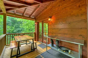 46 Private Dr, Ellijay, GA 30536 - Photo 9