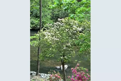 46 Private Drive, Ellijay, GA 30536 - Photo 75