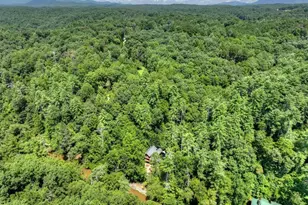 46 Private Dr, Ellijay, GA 30536 - Photo 81