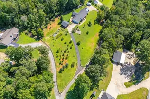 2456 Hwy 53 W, Dawsonville, GA 30534 - Photo 89