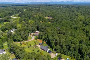 2456 Hwy 53 W, Dawsonville, GA 30534 - Photo 91